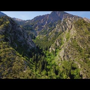 Meet your Posher, Josh